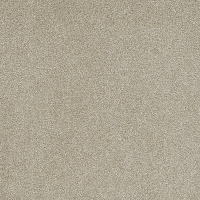 Dreamweaver ROCK SOLID II Cream