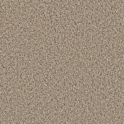 Dreamweaver DAZZLING Straw