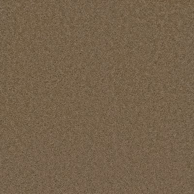 Dreamweaver BROADCAST PLUS Honey Beige