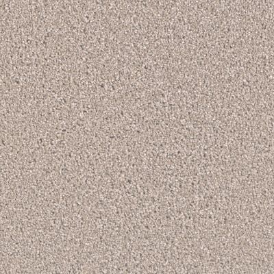 Dreamweaver EXCEPTIONAL II Clam Shell