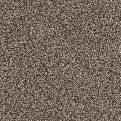 Dreamweaver REFLECTIONS I Smokey Taupe