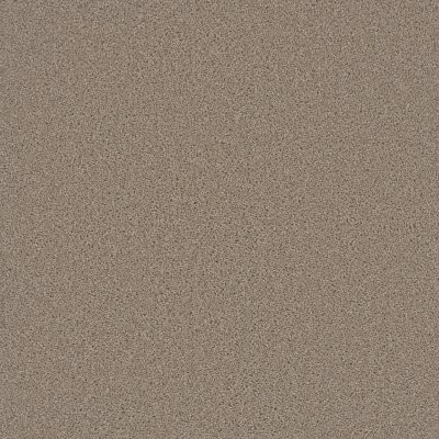 Dreamweaver BROADCAST PLUS Flax Beige