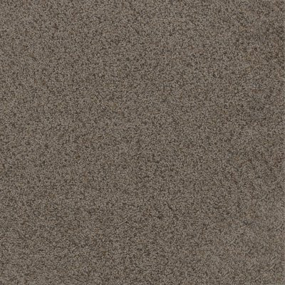 Dreamweaver TOAST OF THE TOWN Rugged Suede