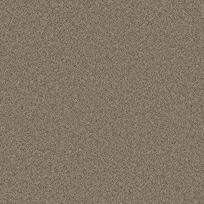 Dreamweaver BLAZER III Umber