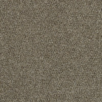 Dreamweaver CLEARWATER III Dark Truffle