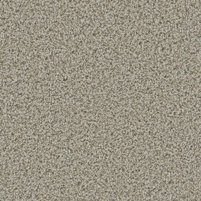 Dreamweaver DAZZLING Stucco