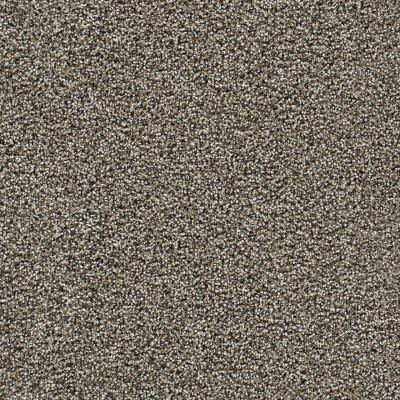Dreamweaver CAPTIVATING II Dark Truffle