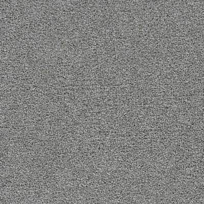 Dreamweaver GOLD STANDARD I Galvanized