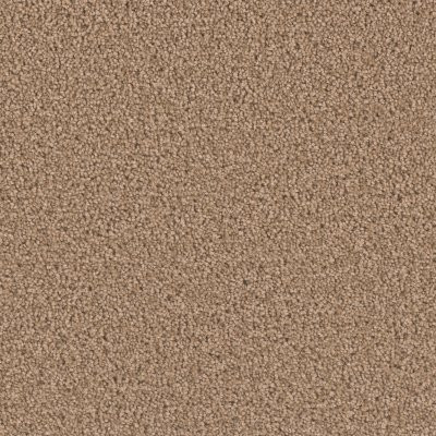 Dreamweaver EXCEPTIONAL II Sable