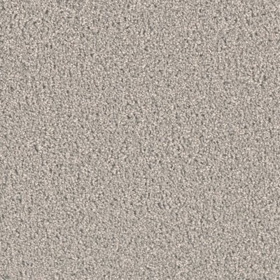 Dreamweaver EXCEPTIONAL II Silver Birch
