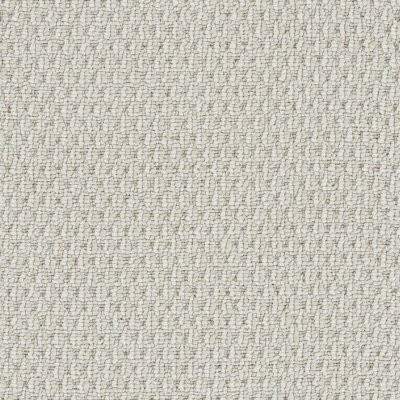 Dreamweaver NIMBUS Oatmeal