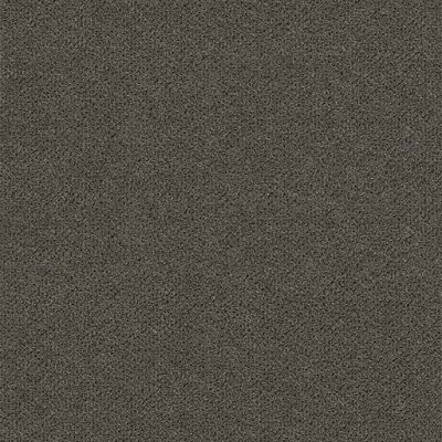 Pentz GRANDVIEW BROADLOOM Taj Mahal