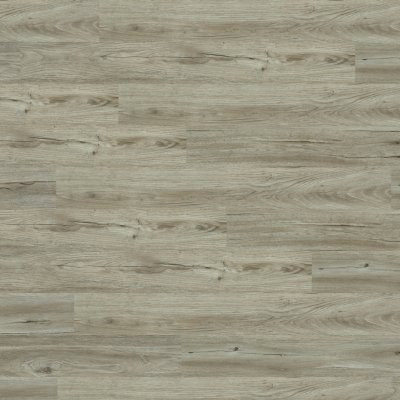 NEW STANDARD II