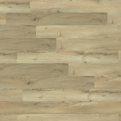 NEW STANDARD II
