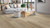 Mohawk Flooring Monroe Gardens Highland SAMPLE