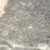 Mohawk Flooring Wanderers Loop Basset SAMPLE