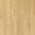 Mohawk Flooring Camden Isle Barley Buff SAMPLE