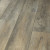 Shaw Antica HD Plus