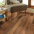 Shaw Endura Plus Amber Oak