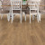 Shaw Paragon HD+Natural Bevel Franklin