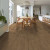 Shaw Paragon HD+Natural Bevel Franklin