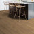 Shaw Paragon HD+Natural Bevel Franklin