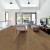 Shaw Paragon HD+Natural Bevel Franklin