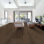 Shaw Paragon HD+Natural Bevel Hawthorne
