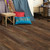Antica HD Plus Orso SAMPLE