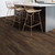Antica HD Plus Orso SAMPLE