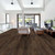Antica HD Plus Orso SAMPLE