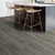 Anvil Plus Grey Chestnut SAMPLE