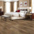 Mohawk Flooring Weathered Portrait Sepia Hickory
