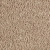 Mohawk SmartStrand Silk Garden Bramble Timeless