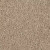 Mohawk SmartStrand Silk Garden Club Hearth Beige