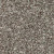 Mohawk SmartStrand True Harmony Nutmeg