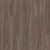 Shaw Paladin Plus Cinnamon Walnut