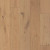 Shaw Castlewood Oak Dynasty