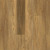 Shaw Pantheon HD Plus Foresta