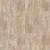 Paragon Tile Plus