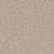 Dreamweaver CAN'T MISS Seashells