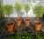 Scented Geranium mix 4 pack - 6" pots- SKU 0019