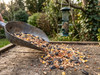 Wild Bird Seed
