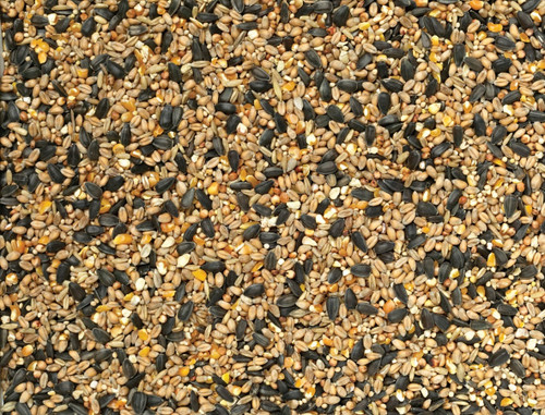 Selected Wild Bird Food - 4kg