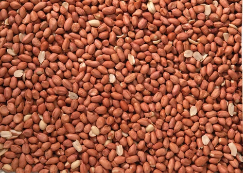 Peanuts Bird Food - 2kg
