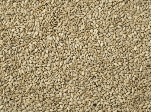 Sunflower Hearts for Wild Birds - 2kg