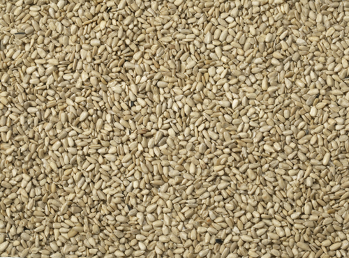 Sunflower Hearts for Wild Birds - 4kg