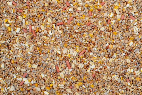 No Mess, No Grow Wild Bird Food - 25.5kg