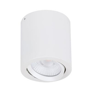 NEO-20 Surface Mounted Tiltable LED Downlight - Satin White