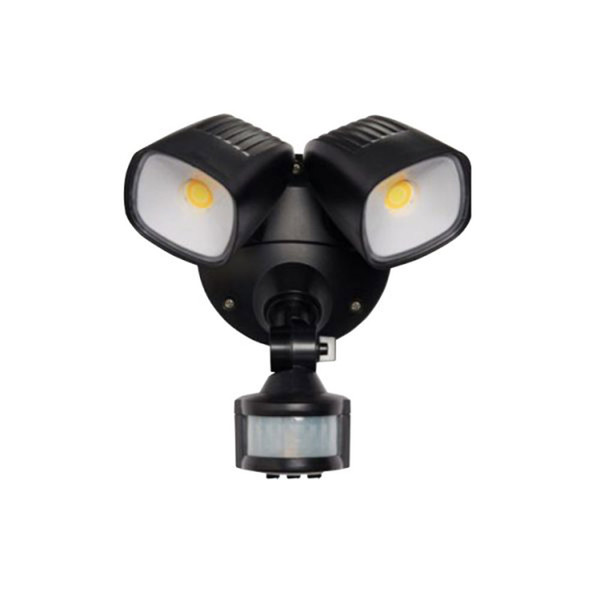 ceiling mounted security light